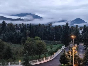 هتل آپارتمان ترنج بانک سینا 5