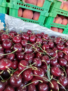 میوه فروشی برادران رضایی 3