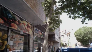میوه و تره بار شمشیری