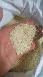 برنج عنبربو خوزستان