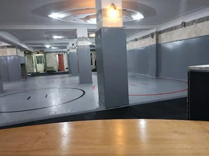 باشگاه پولاد