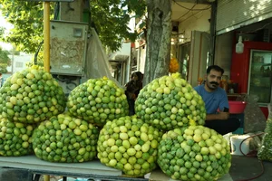 لیمو سرای سالار 2