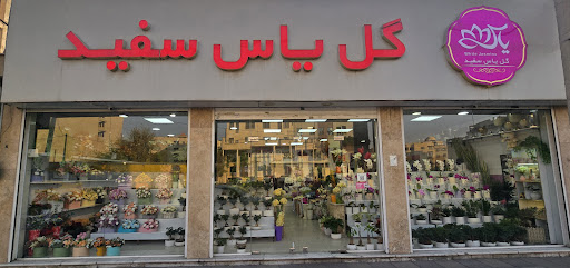 گل یاس سفید