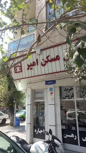 املاک امیر