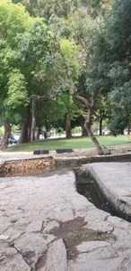 پارک گلسرخ 3