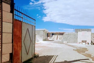 فروشگاه صدف