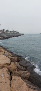 ماهی فروش