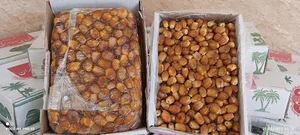 خرما فروشی لطیفی