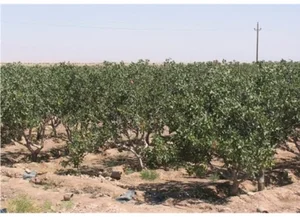حبیب آباد اصفهان