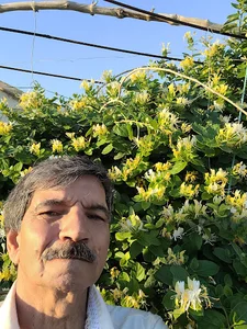 اغذیه بهار( غلام ساندویچی)
