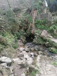 Damkesh Spring چشمه دمکش