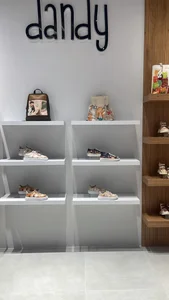 کیف و کفش دندی 3