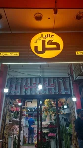 عالیا گل 2