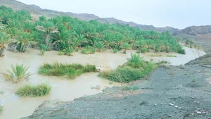 سری آباد پایین