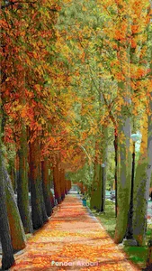 زمین بازی کودکان