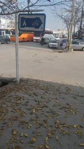 واشر بری توسن