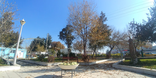 پارک آزادی