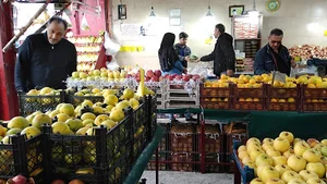 فروشگاه امیران