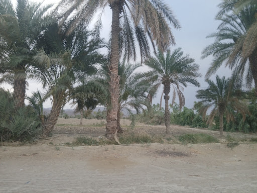 چاه حاجی بلوچان