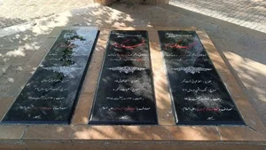 بوستان پلیس 5