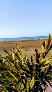 دریا پارکینگ ۳