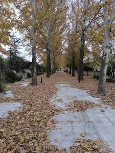 باغ نیک مرام