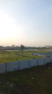 پیاده روی