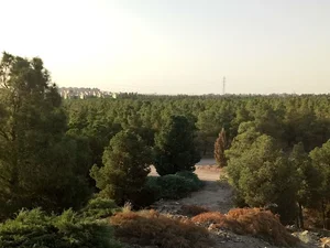 پارک جنگلی شرق اصفهان