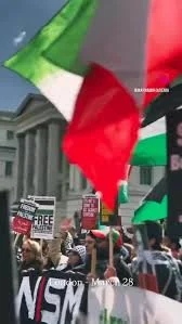 تو رستم تهمتنی, بزن که خوب می‌زنی
