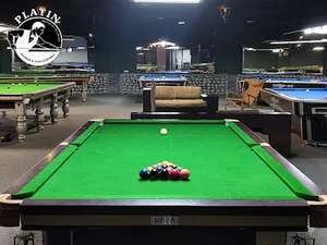 باشگاه بیلیارد پلاتین Platin Billiards Academy
