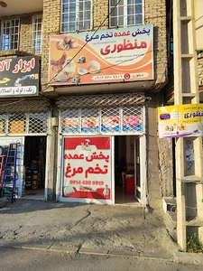 پخش عمده تخم مرغ منظوری