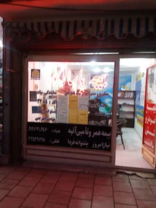 بیمه پاسارگاد