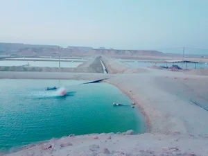محله زرکی‌