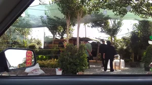 نهالستان رایان 3