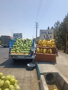 میوه فروشی منصف زاده