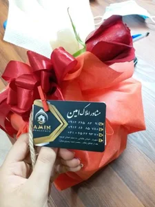 املاک امین 2