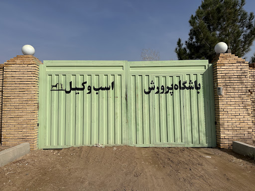باشگاه سوارکاری و پرورش اسب وکیل