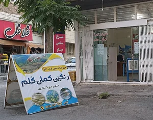 پروتئینی ومرغ و ماهی