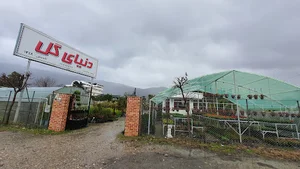 گلفروشی دنیای گل