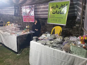 دفتر گیاهان دارویی سادات