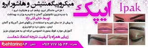 میکروپیگمنتیشن ایپک 2