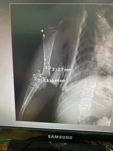 کلینیک دامپزشکی و پانسیون تخصصی گربه 5