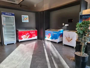 زاگرس سرمای تبریز (پلاریس) 4