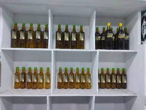 محصولات ارگانیک الیزه