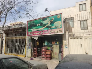 یاس یک