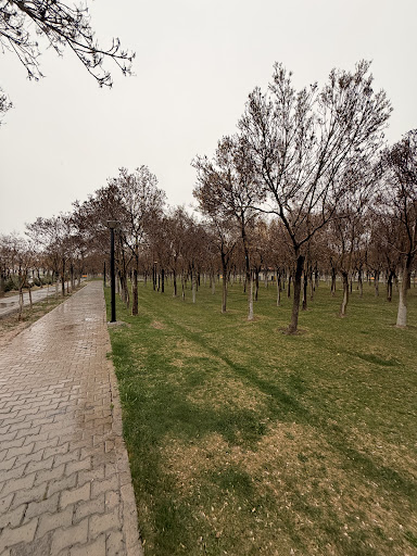 پارک شهدای گمنام