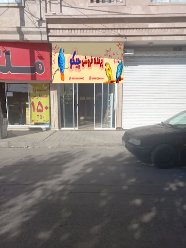 پرنده فروشی و کافینتی چیکو