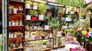 فروشگاه شهر گل 3