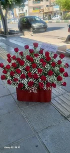گلفروشی آرالیا 3