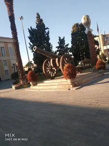 توپ مروارید